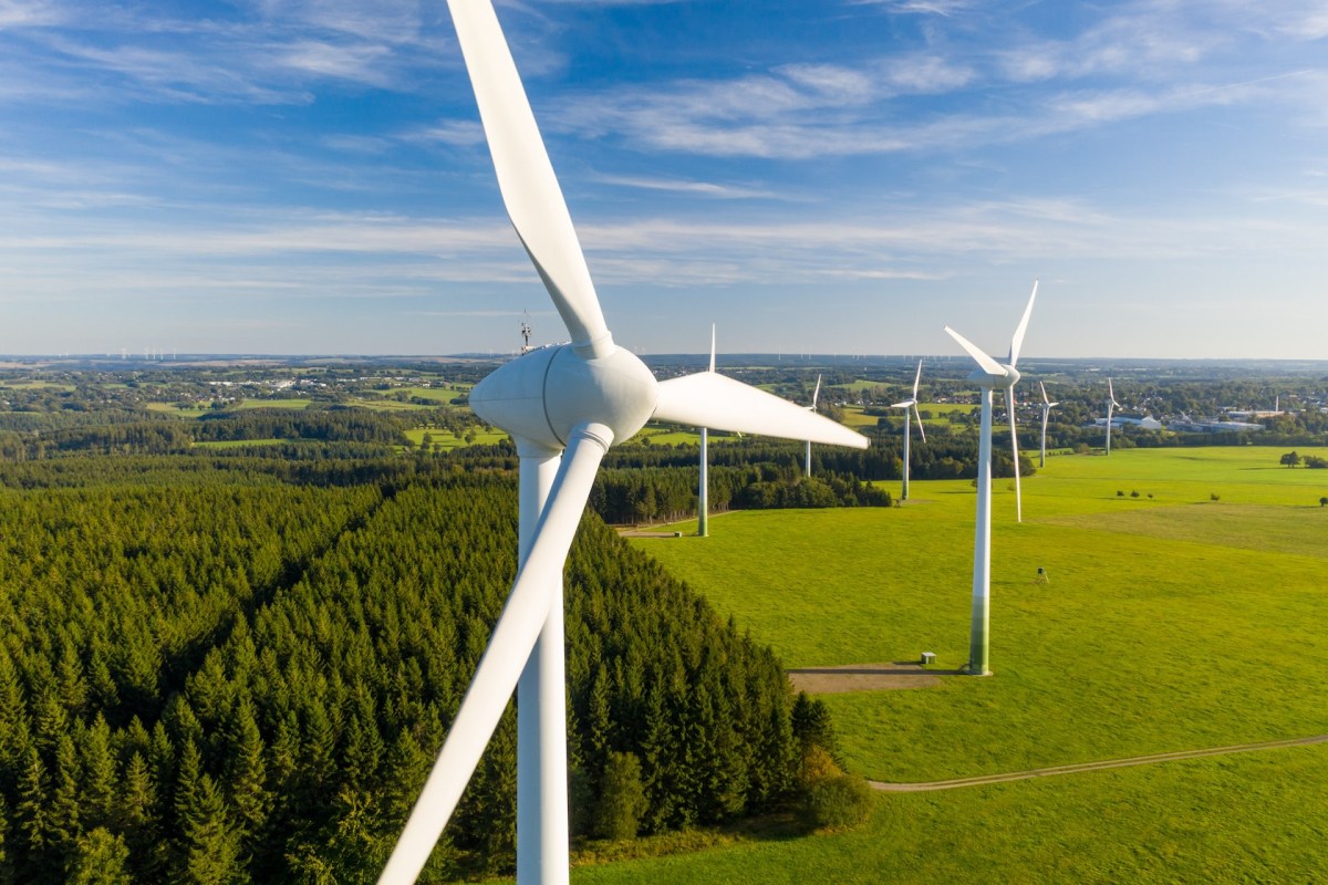 An increased demand for renewable energy options is excellent news for consumers.