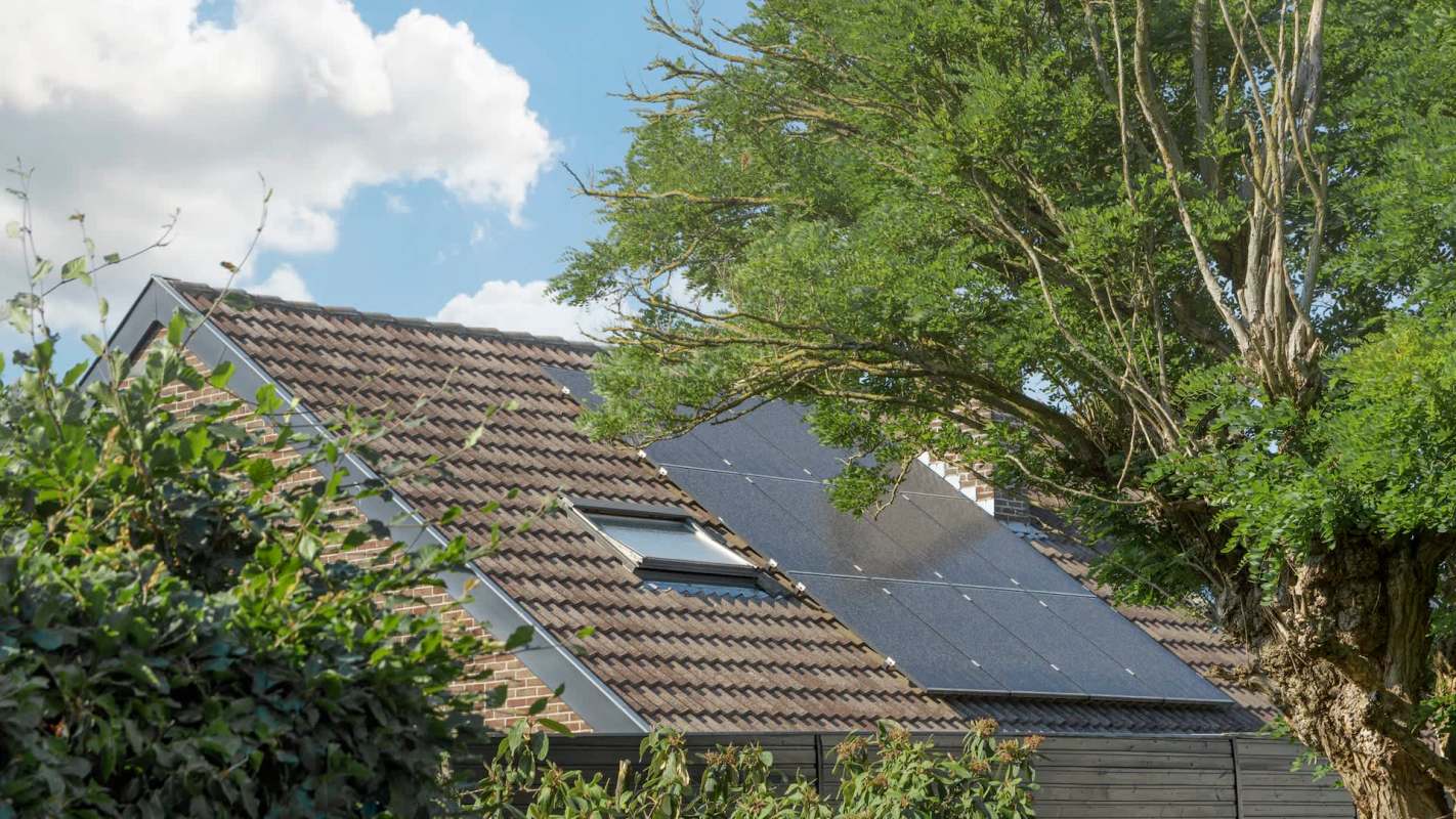 "When I told my wife we were getting solar, her first statement was, 'You're not cutting down the trees.'"