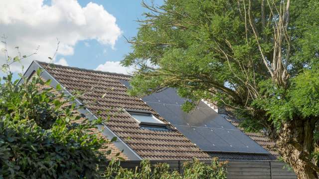 "When I told my wife we were getting solar, her first statement was, 'You're not cutting down the trees.'"