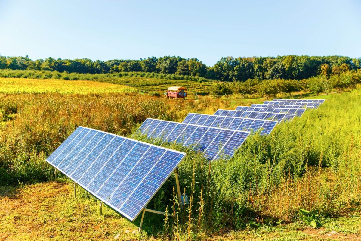 "Renewable energy continues to prove its value for communities and the economy."
