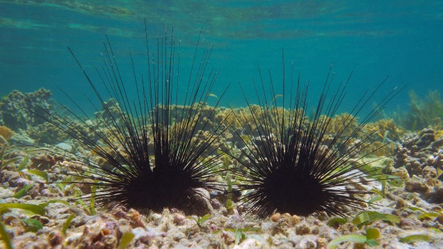 "This will impact ecosystems and communities alike."