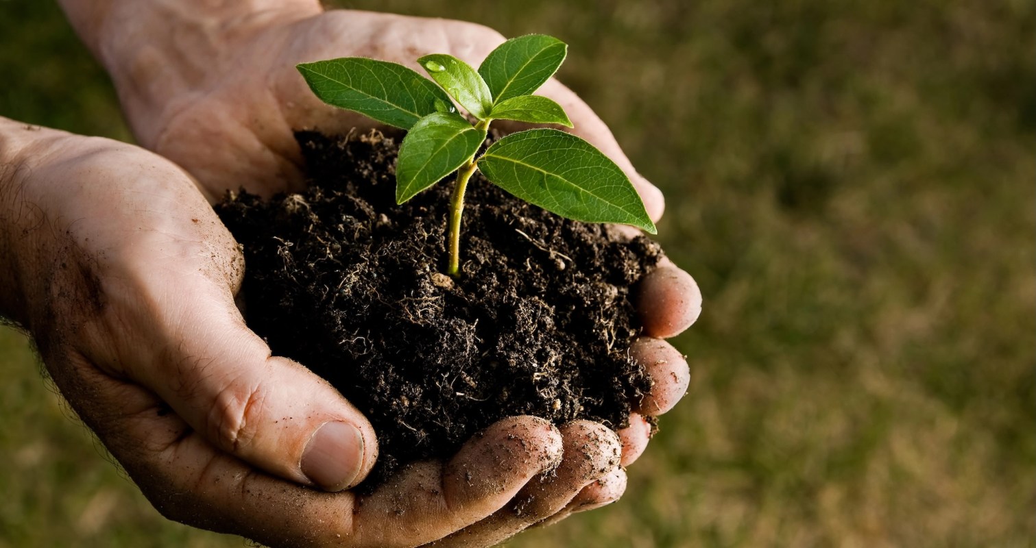 The system's potential could pave the way for more efficient farming.