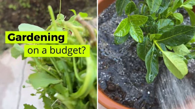 It's a small change that's earning big praise.