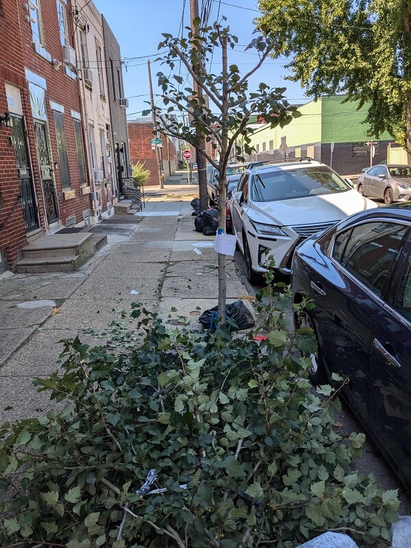 "This was an individual doing it on purpose."