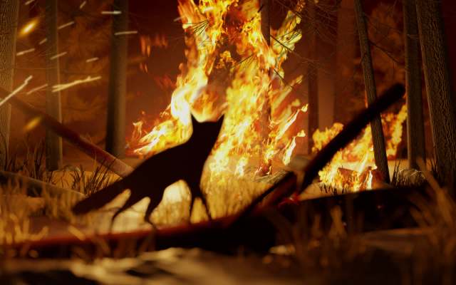 The real tragedy of the issue is that many wildfires are started deliberately.