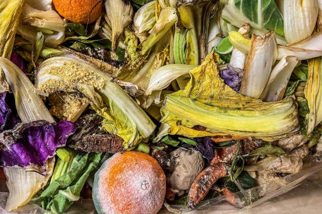 "This is a cost that consumers may be willing to pay for fruit with a longer shelf life and greater usage."