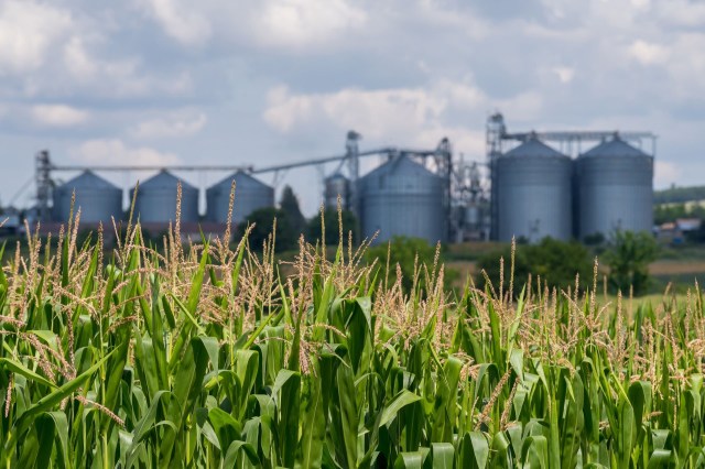 "We're seeing more companies approach us with a mandate to get more accurate."