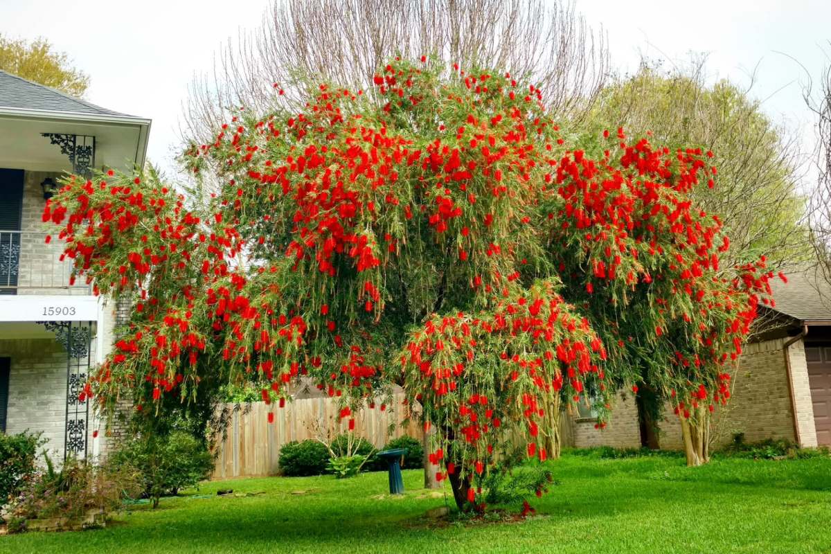 Commenters didn't like what this HOA had done.