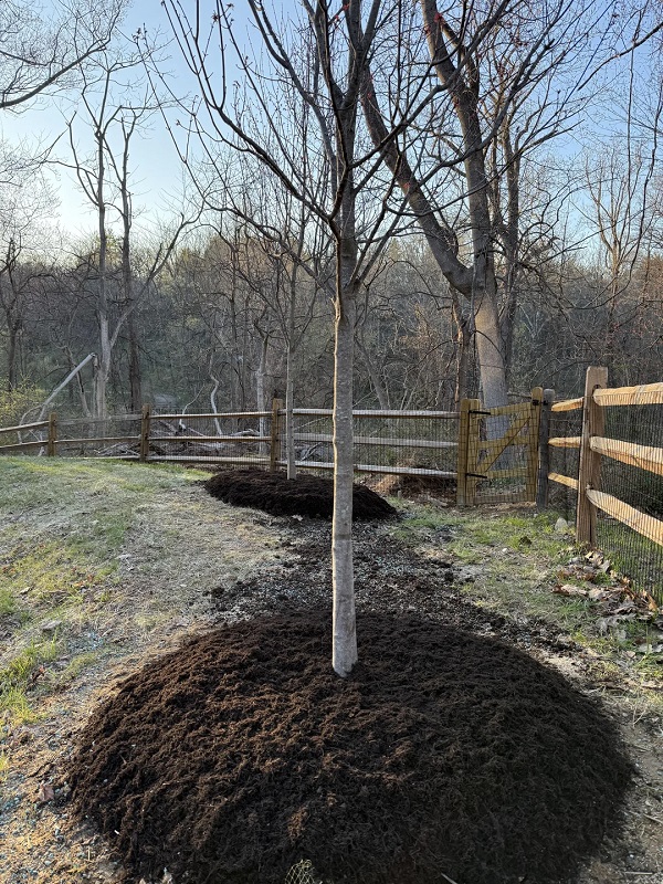 "Appalling that a professional landscaper is responsible for it."