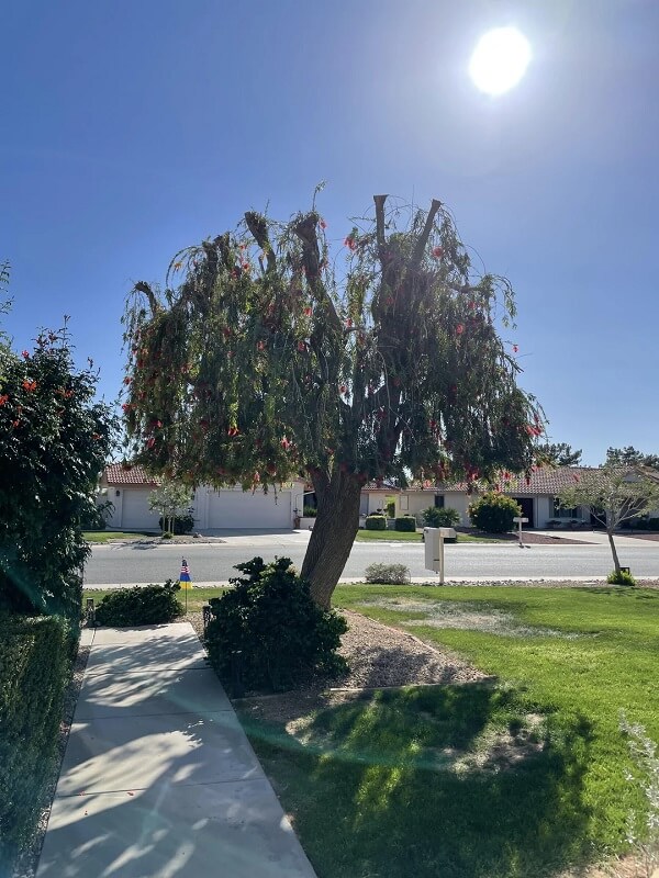 Commenters didn't like what this HOA had done.
