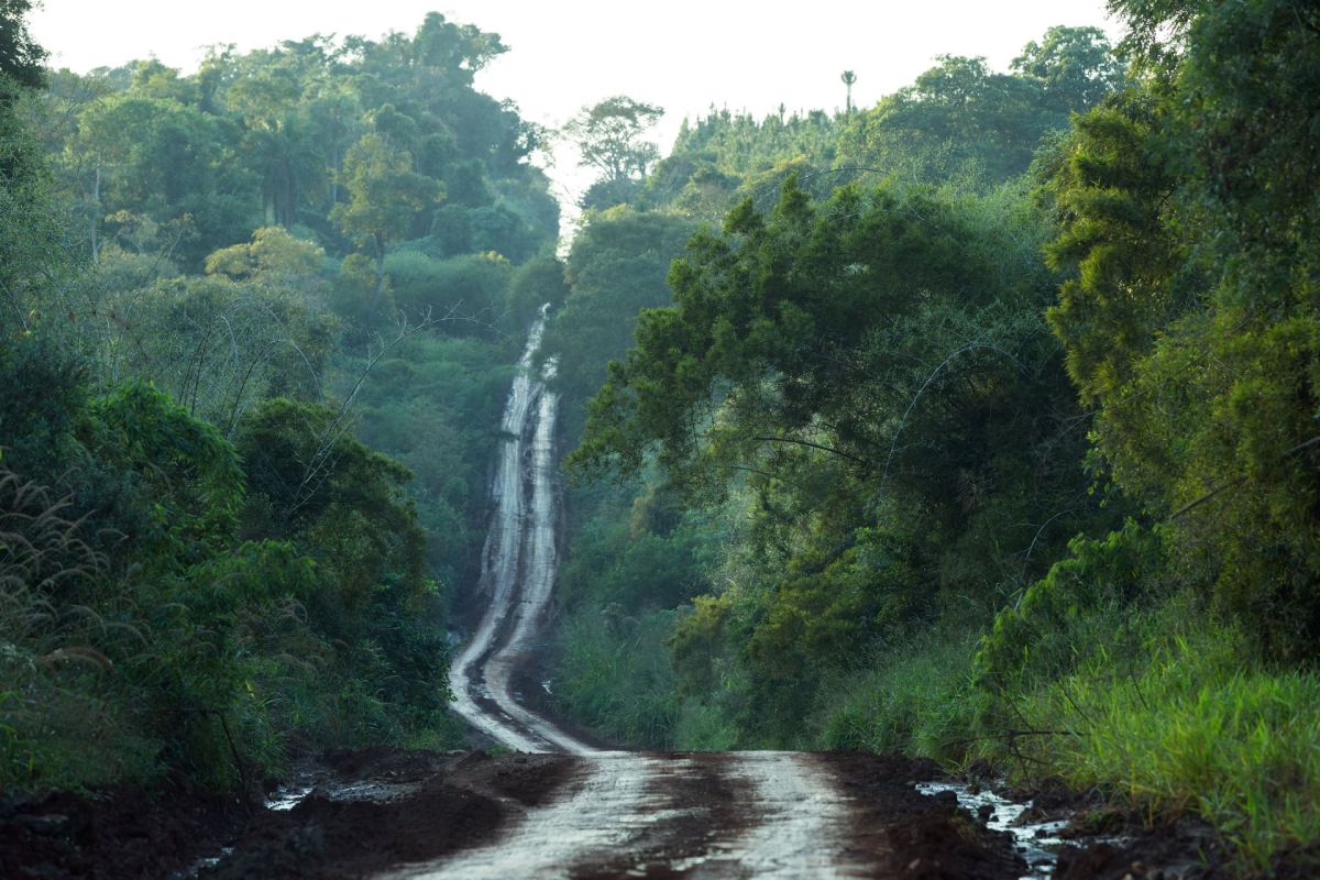 The crime poses a number of problems for animals, humans, and the environment.