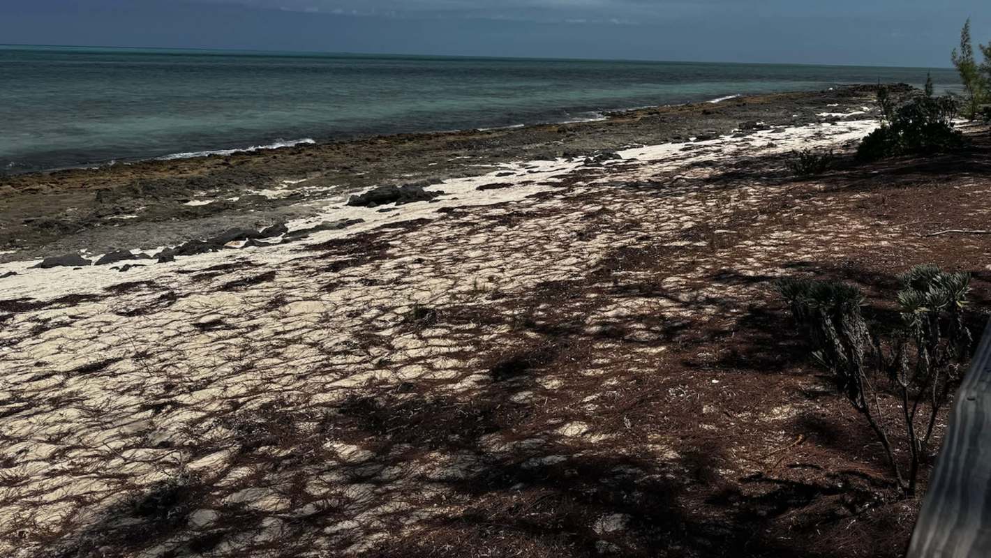 "I'm impressed by how much more interested many islanders are in trying to generate solutions rather than sympathy."