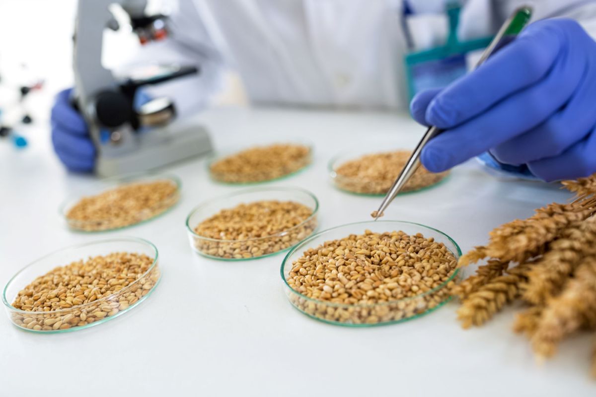 The discovery represents a significant step toward protecting global food systems.