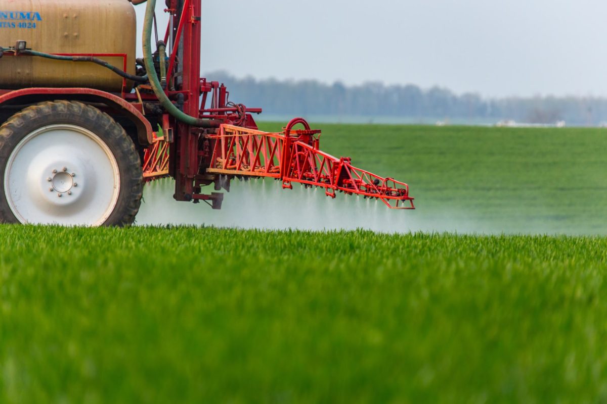 "It's being sprayed, as we speak."