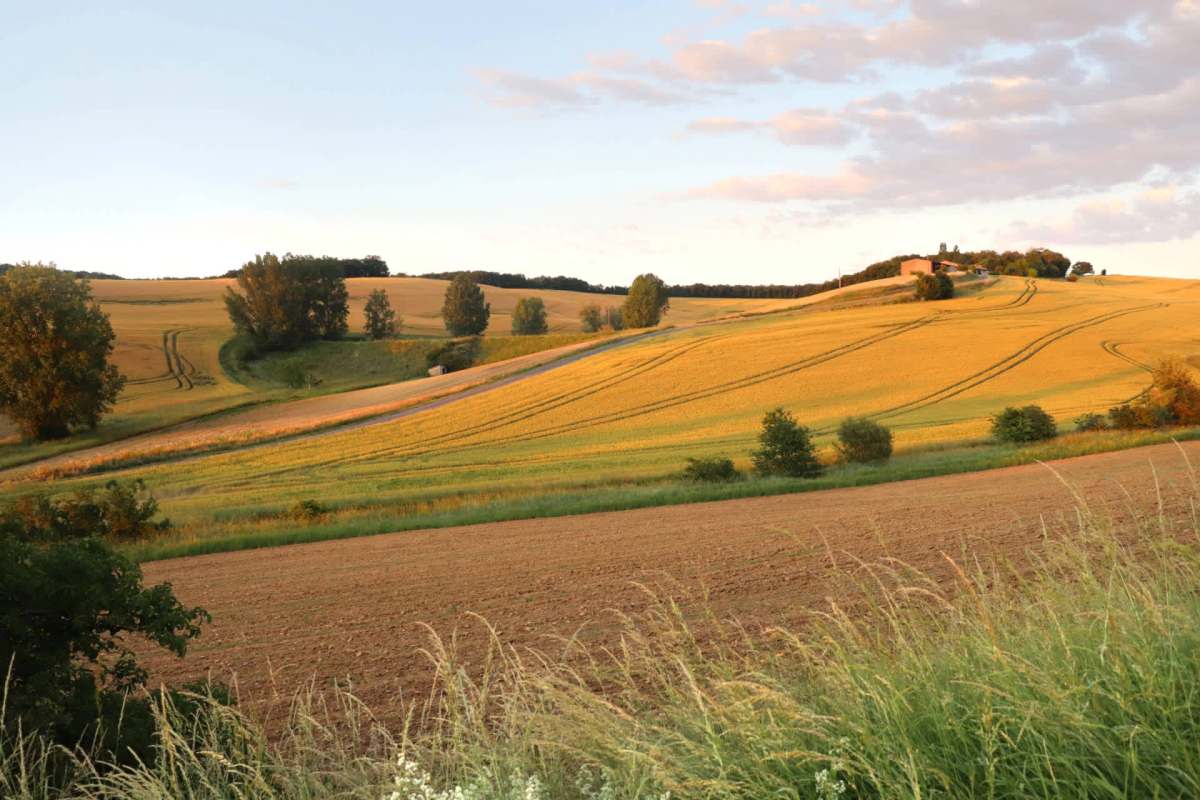 "This is a disaster for producers and for the sector."