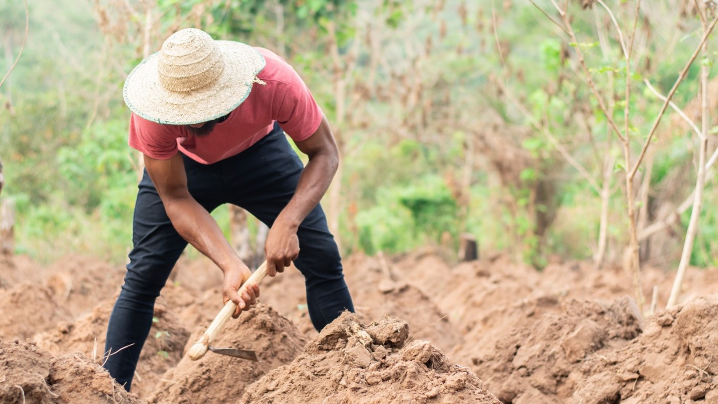 As a consumer, there are ways you can mitigate the impact.