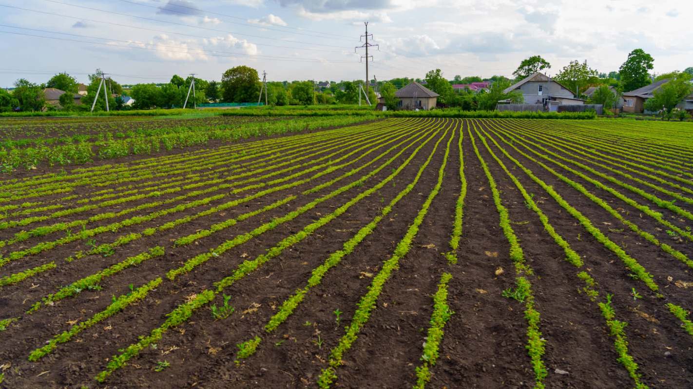 It's an exciting development in the world of agriculture.