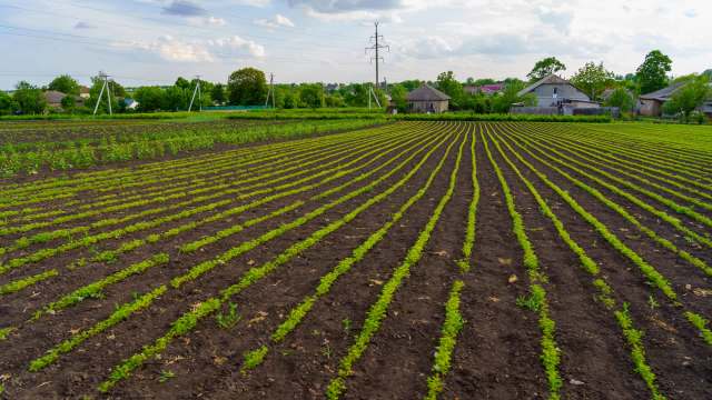 It's an exciting development in the world of agriculture.