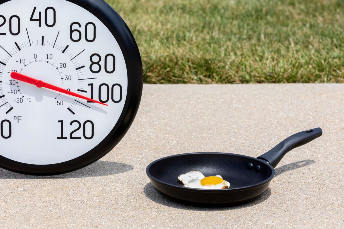 "Some regions experienced temperatures over 10°C (18°F) above normal."