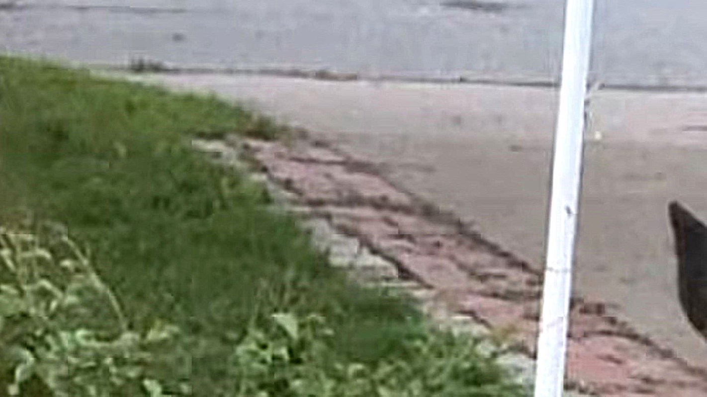 "We really were not expecting that."