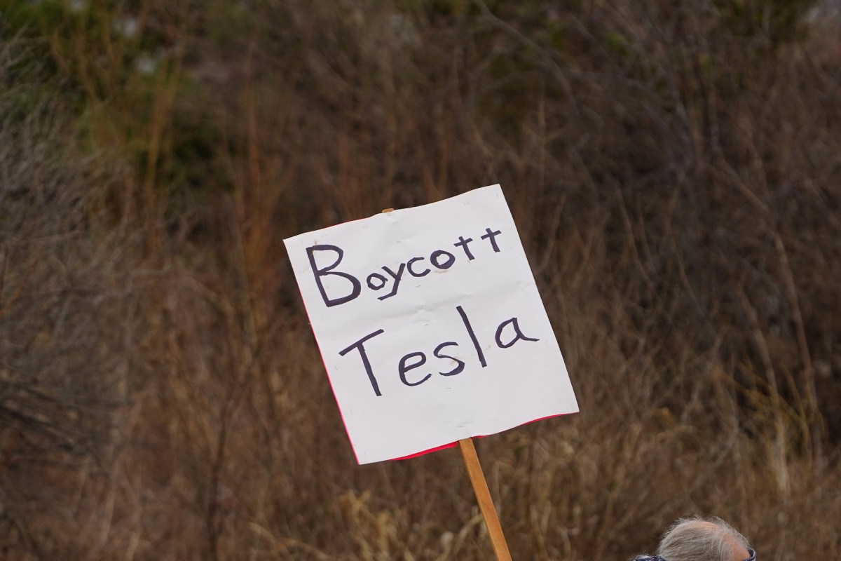 "I don't want to see a Tesla logo or brand here."