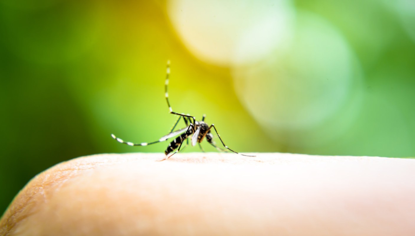 "People older than 60 and individuals with weakened immune systems are at higher risk for severe illness."