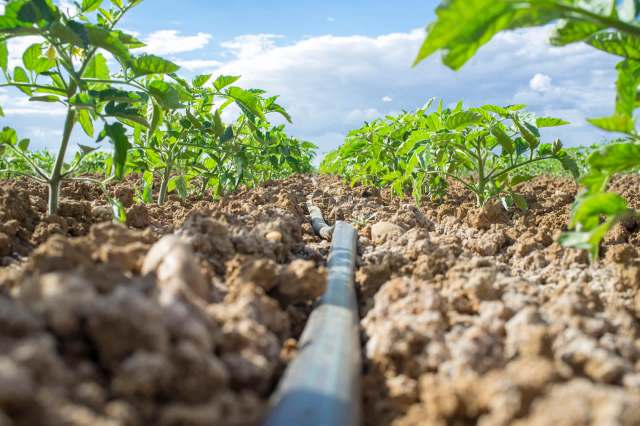 "This is an incredibly productive, resilient, and sustainable system."