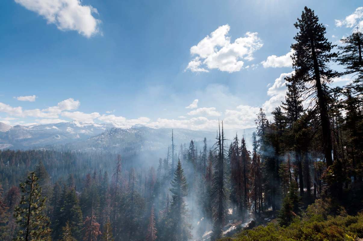 Nationally, there have been 33,000 wildfire incidents that have burned over 1.7 million acres across the country.