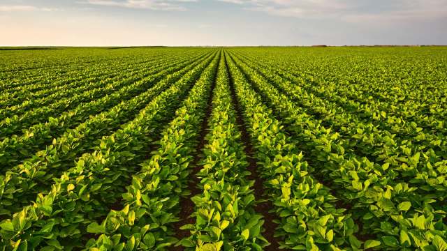 The arrangement is a win for farmers.