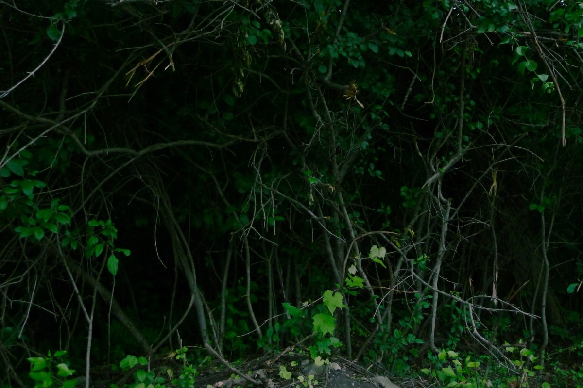 She backed away while maintaining eye contact.