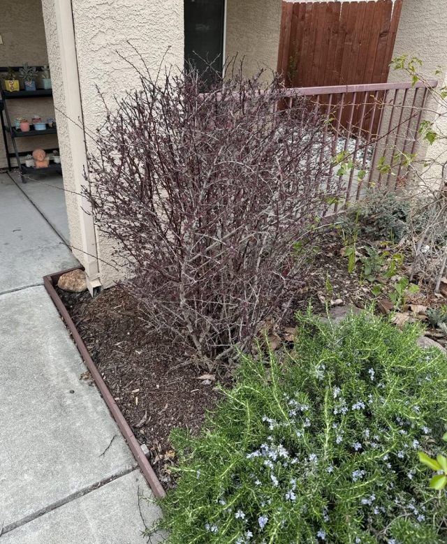 "Honestly, I'd remove it."