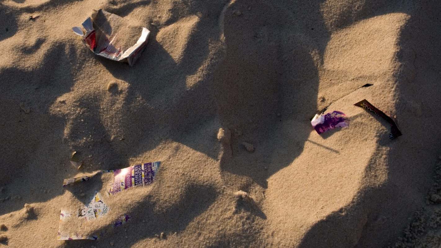 "They're ... everywhere now."