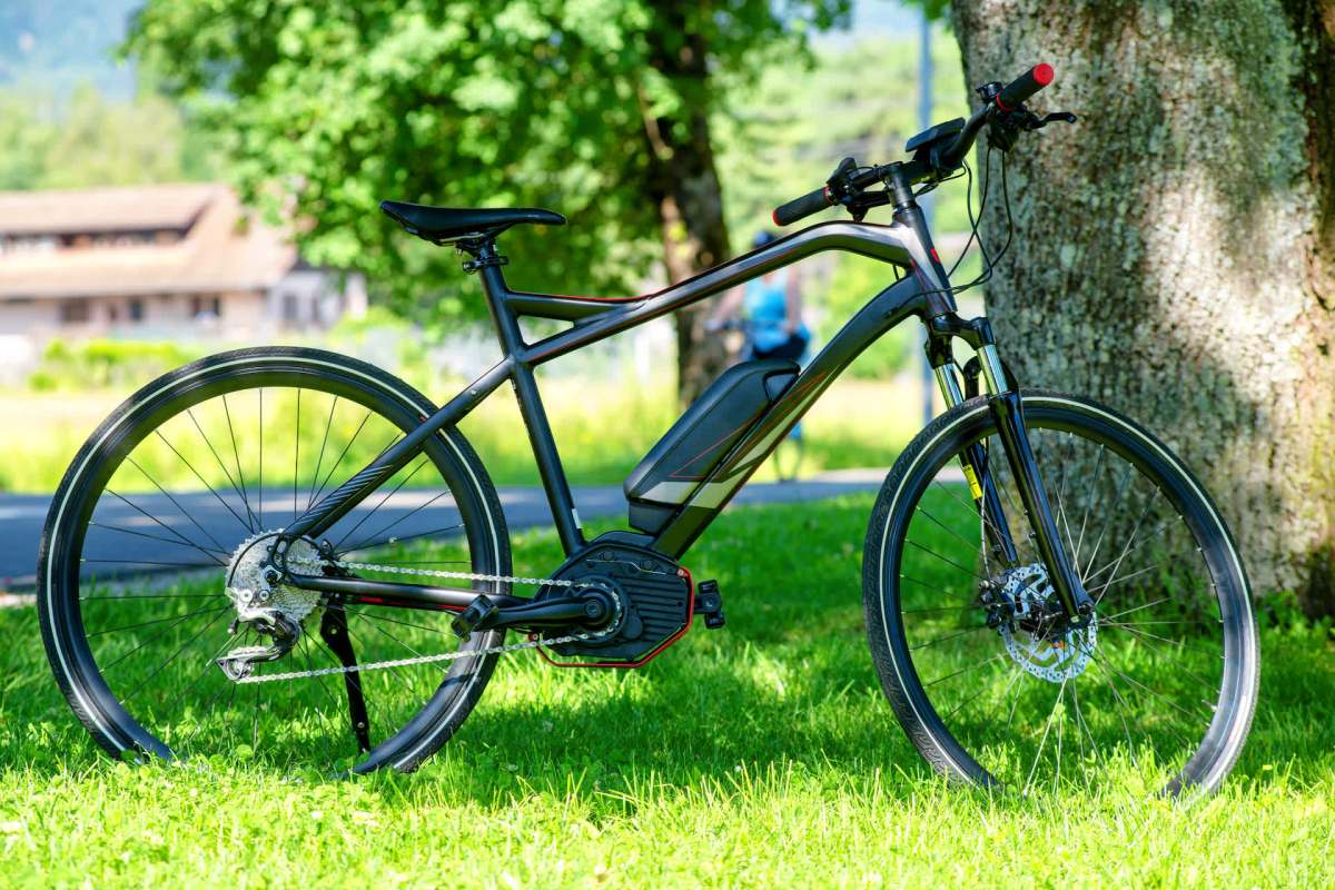 "The involuntary whoops let out by newbies who try out my bike support that theory."