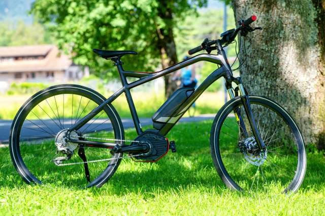"The involuntary whoops let out by newbies who try out my bike support that theory."