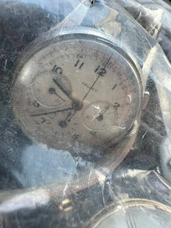 "You never know what you'll find at a Goodwill."