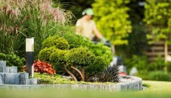 "They are much more than just a nuisance — they are actually a very meaningful public health threat."