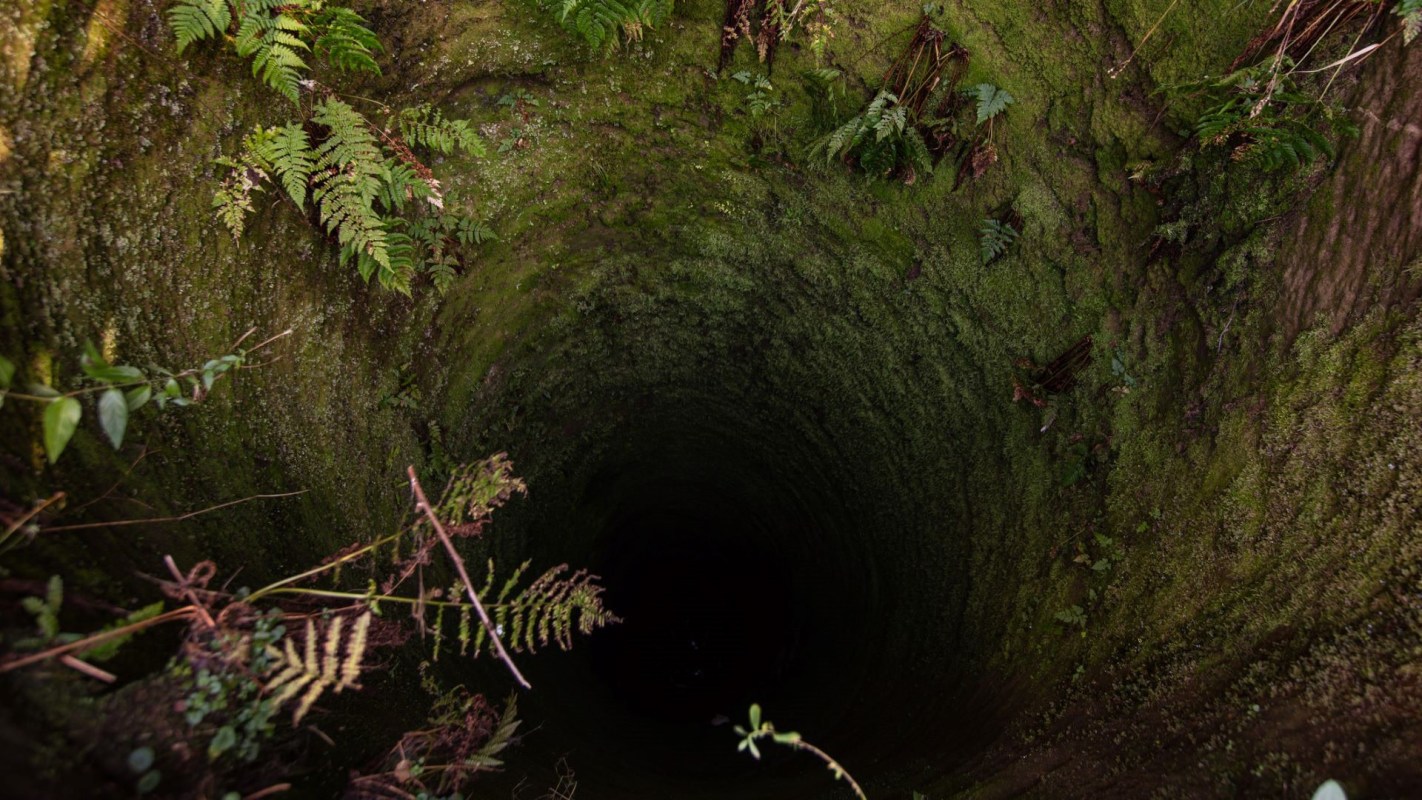 The animal was found after locals heard it crying for help.