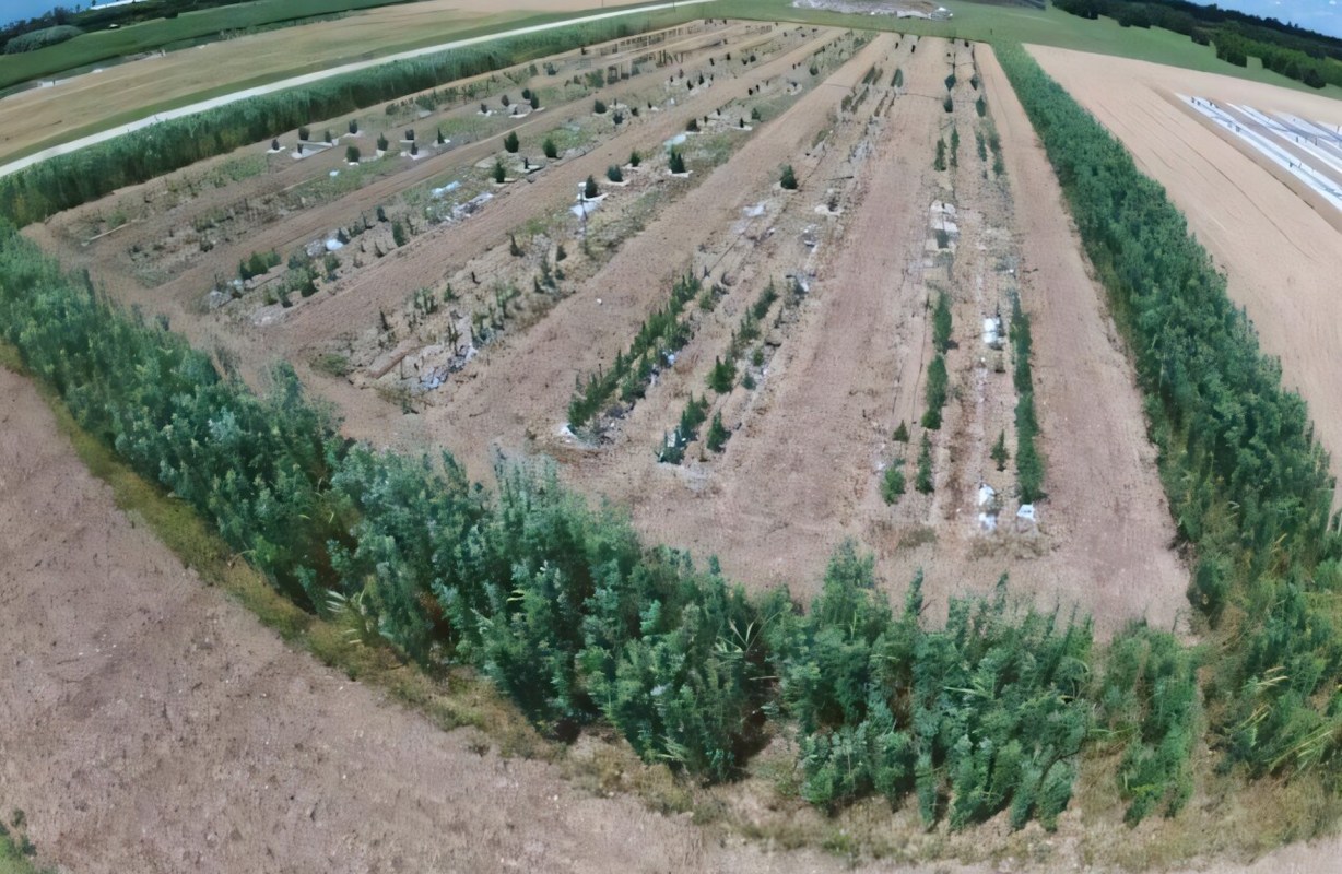 Smarter farming leads to healthier ecosystems, cleaner water, and more resilient food systems.
