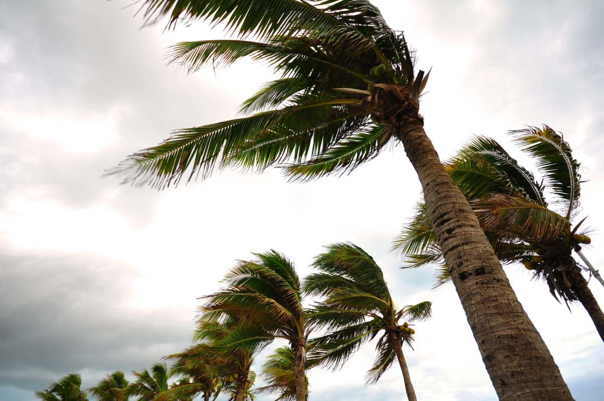 On May 22, NOAA predicted an "above-normal hurricane activity in the Atlantic basin."
