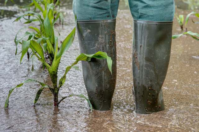 These shifting weather patterns have a significant impact on the economy as well.