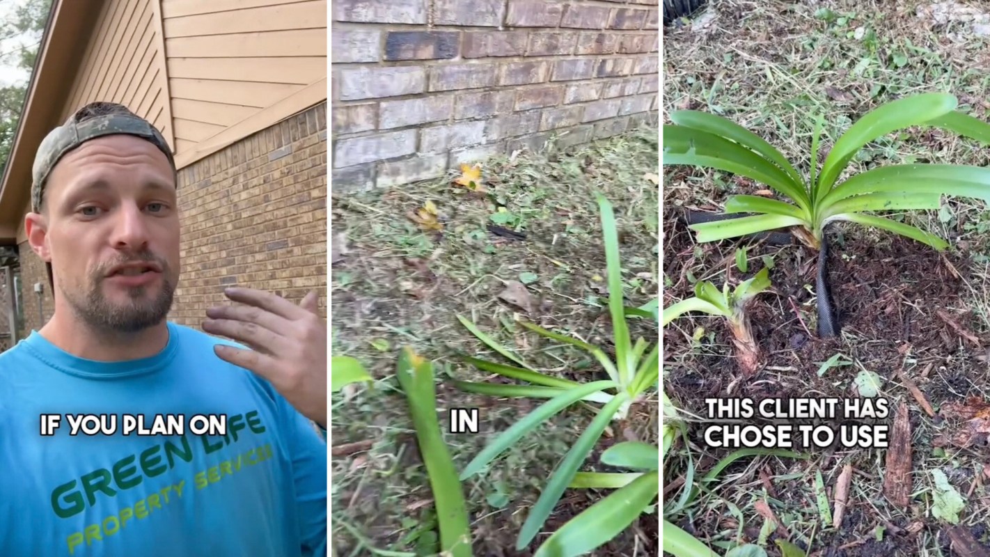 So, what can you do to help your plants really thrive?