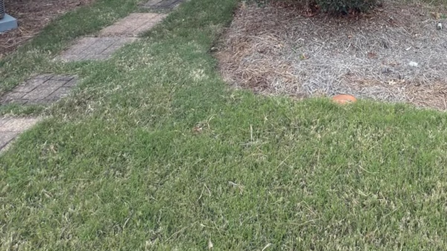 "Yeah, I can't see this being okay."