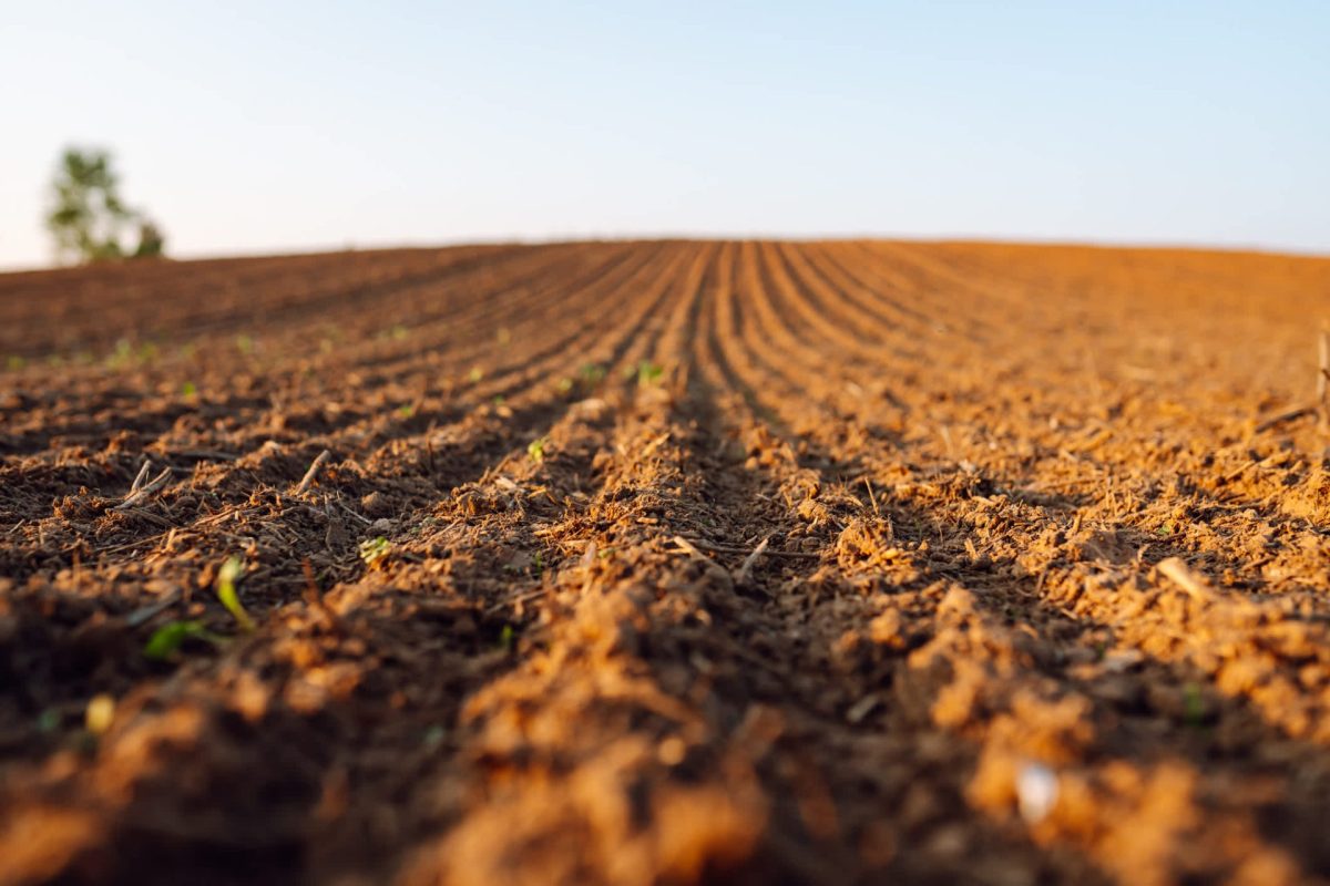 "Regulators, scientists and industry must collaborate."