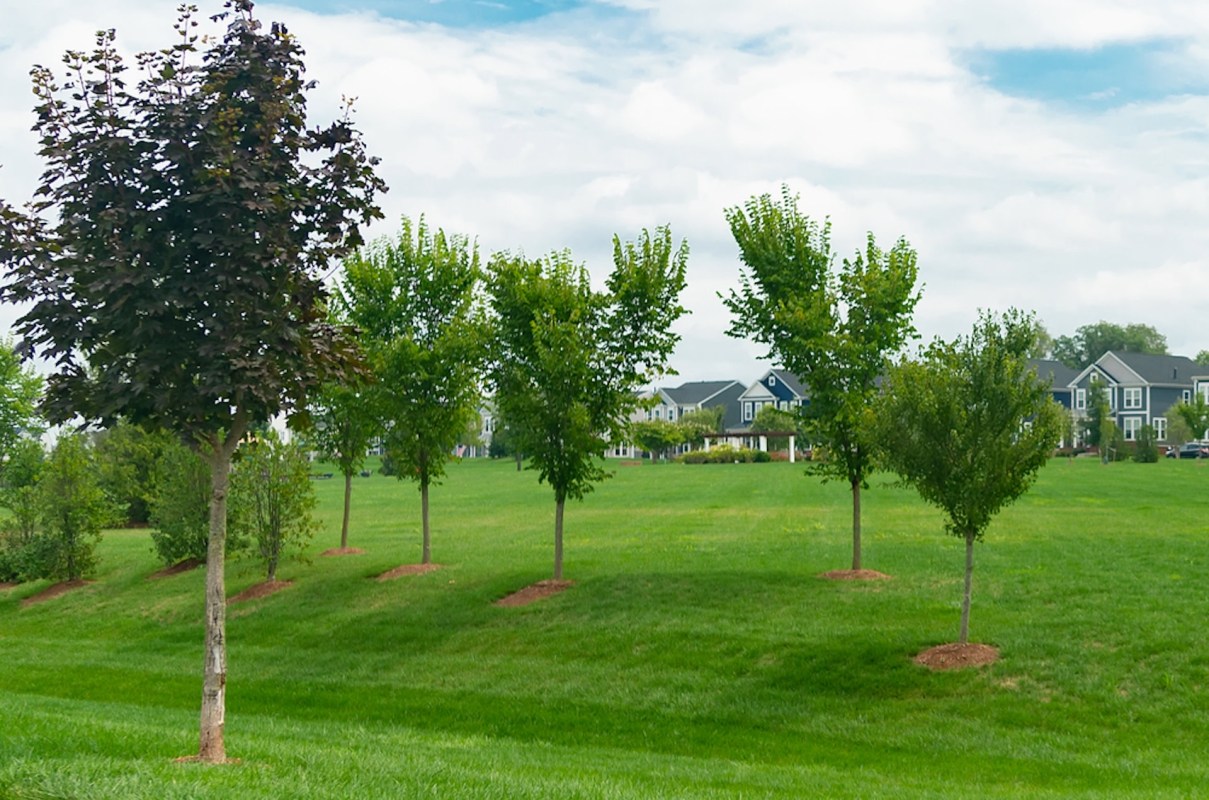 The expert steered aspiring landscapers in a better direction.
