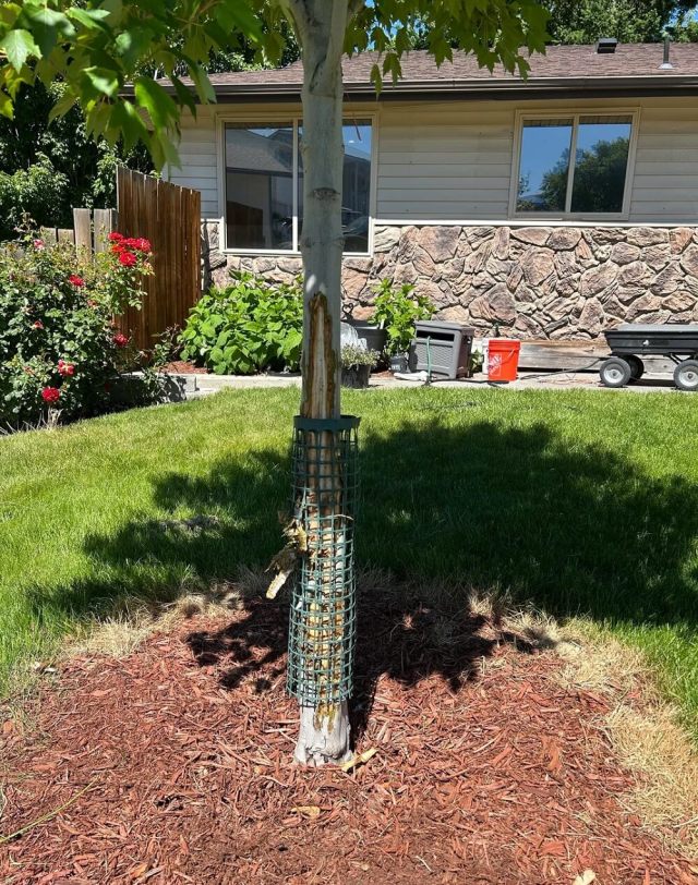 It is frustrating when neighbors don't take responsibility.