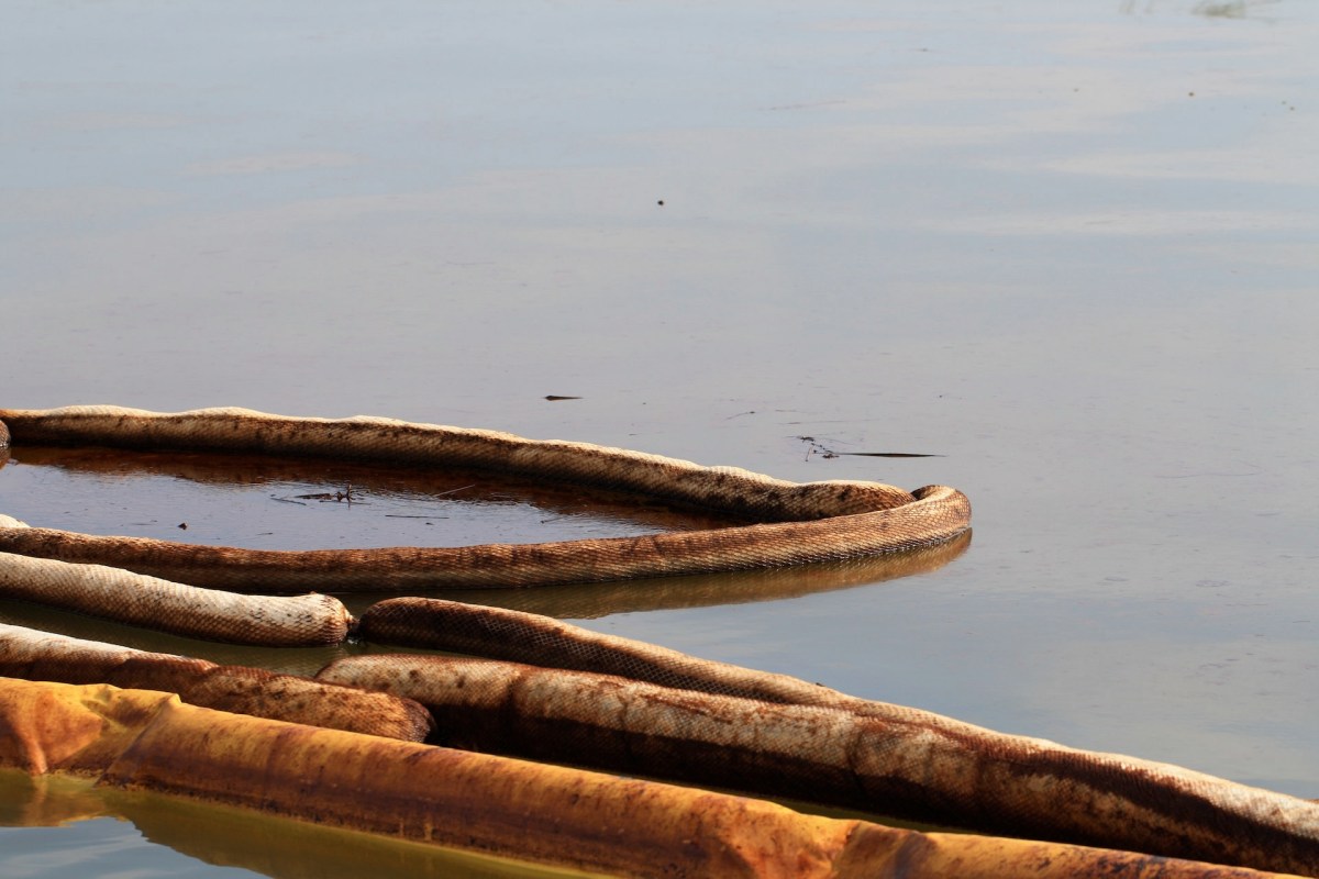 Within 24 hours of the confirmed spill, nearly 100 responders were actively working.