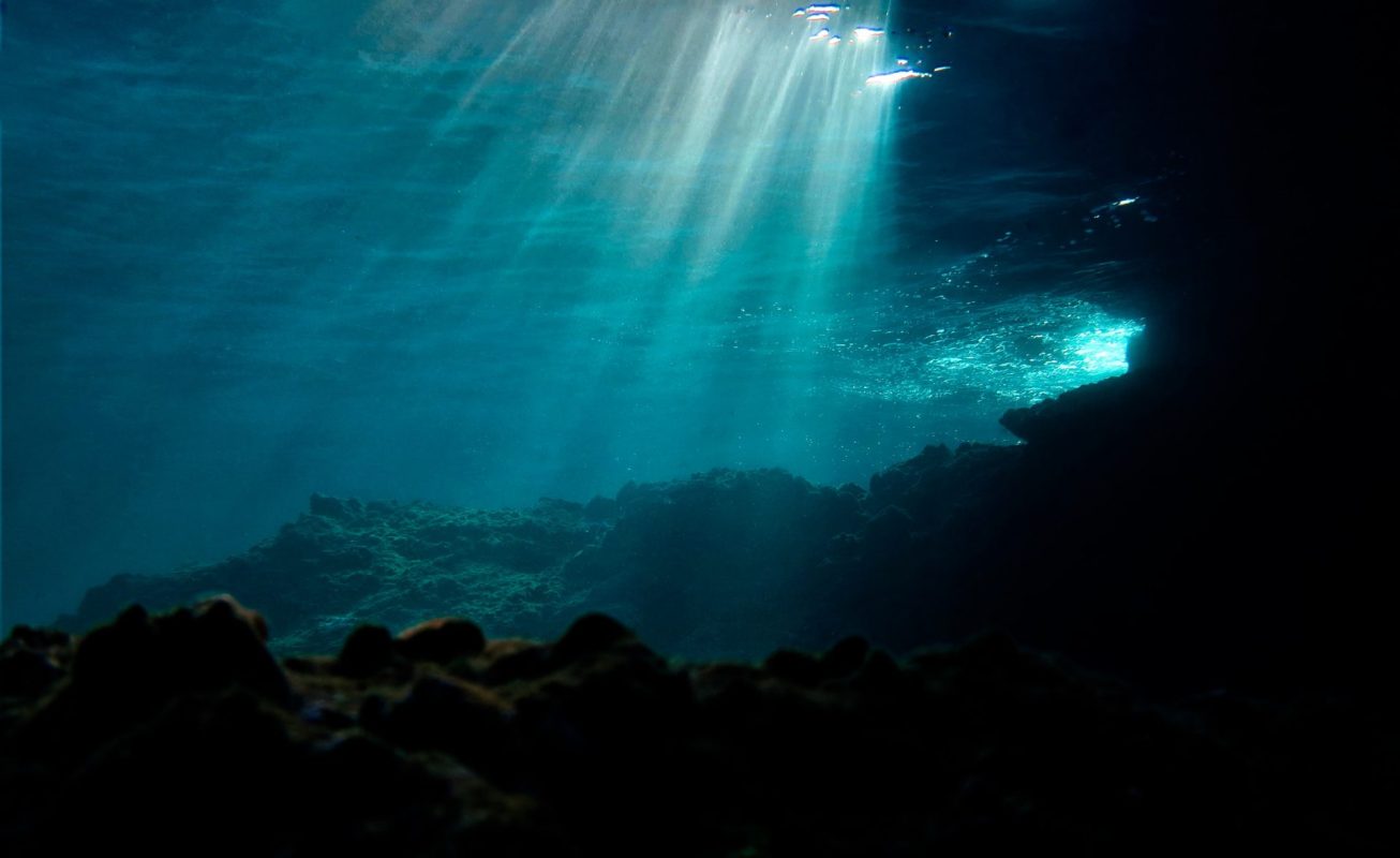 It's an emerging threat to the health of humans, wildlife, and ecosystems.
