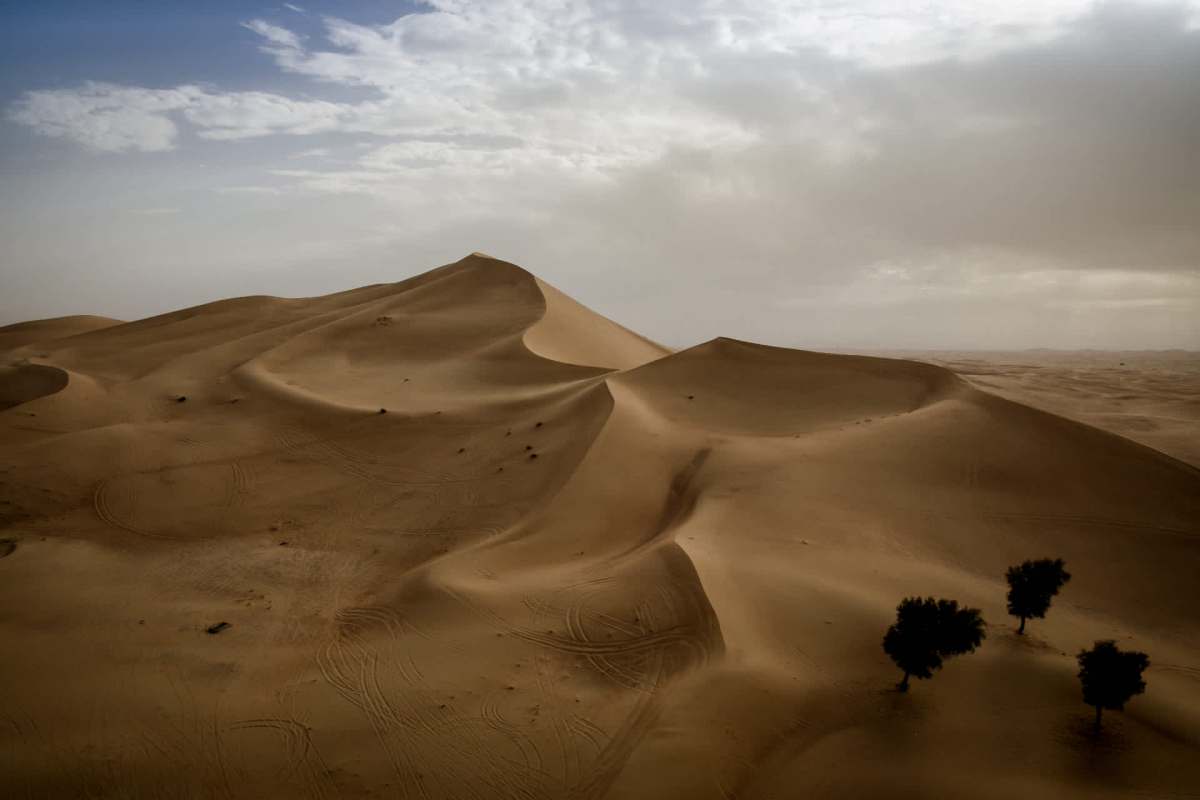 It's been a brutal year for extreme temperatures in the region.