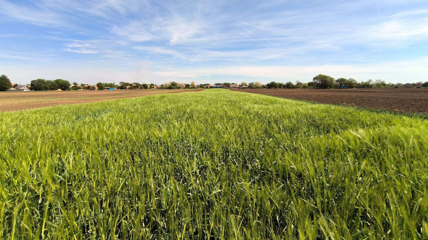 "If we're going to hold on to farmland, we need a significant change in how we farm and what we farm."