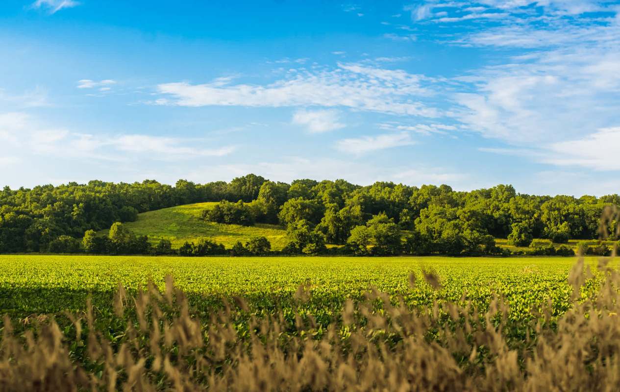 "This is the resource that we have that we can run profitable businesses on."